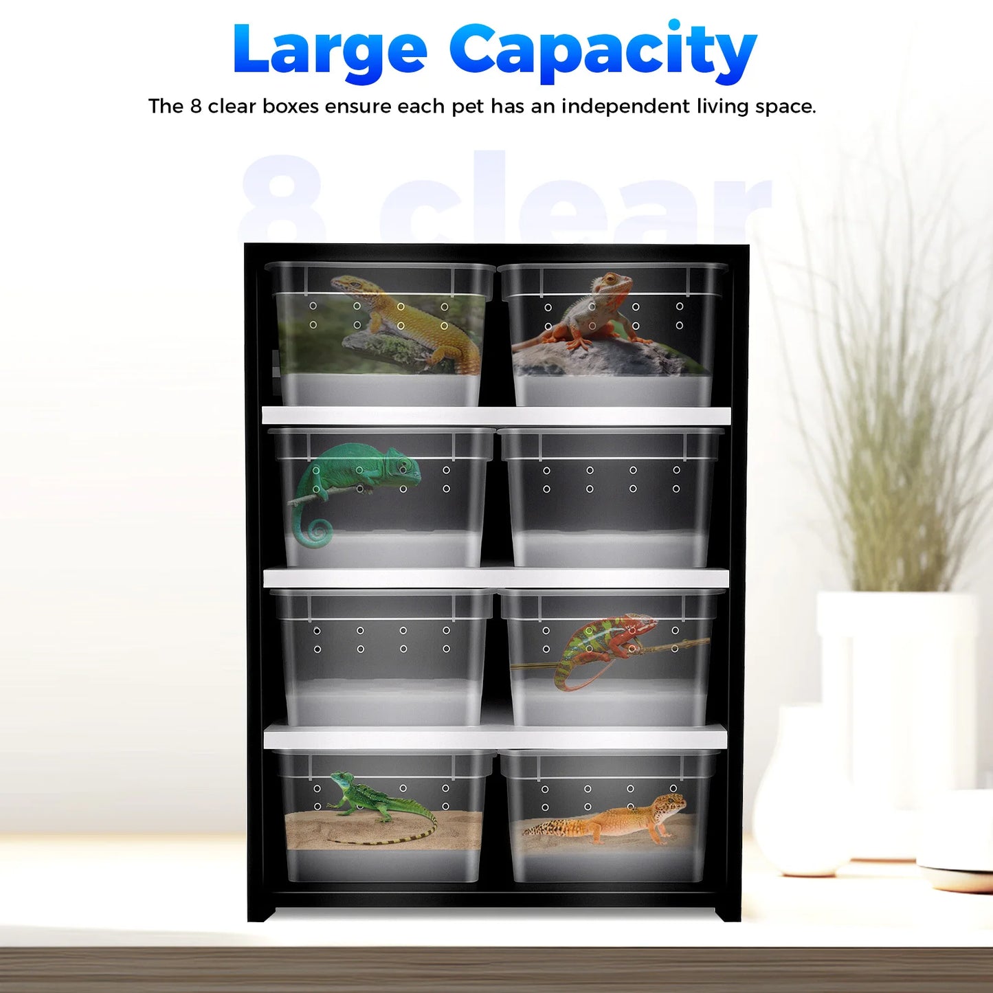 Reptile Breeding Cabinet with 8 Clear Boxes and 25W Pad