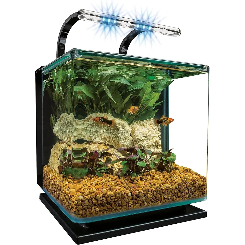 3 Gallon Contour Aquarium Kit with LED Lighting Sleek Rounded Glass Hidden Filter Easy Slide Canopy Ideal Aquatic Life