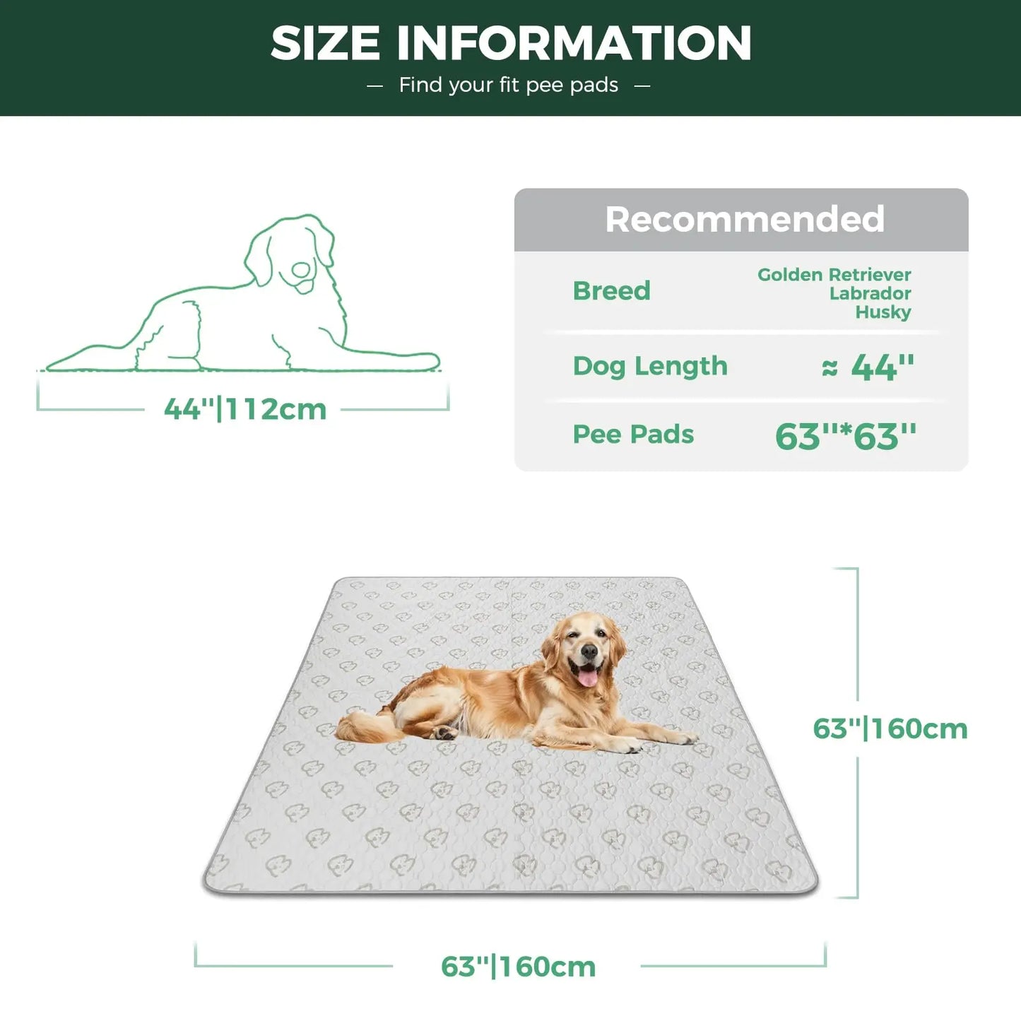 FXW Washable Dog Pee Pads Super Absorbent Puppy Training Pads for Crate Sofa and Bed