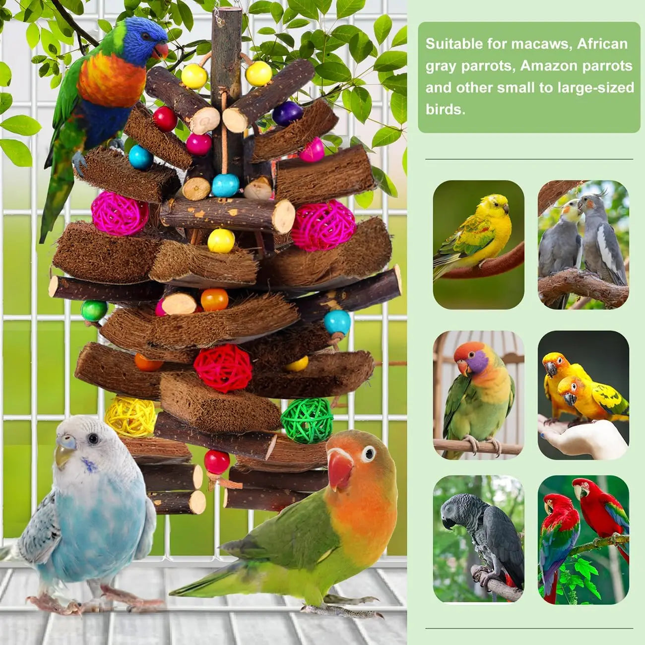 Natural Coconut Shell Bird Toys for Small Medium Birds