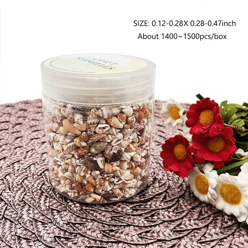 Mixed Sea Shells Ocean Beach Spiral Seashells Craft Charms for Home Decorations Candle Making Fish Tank and Vase Filler