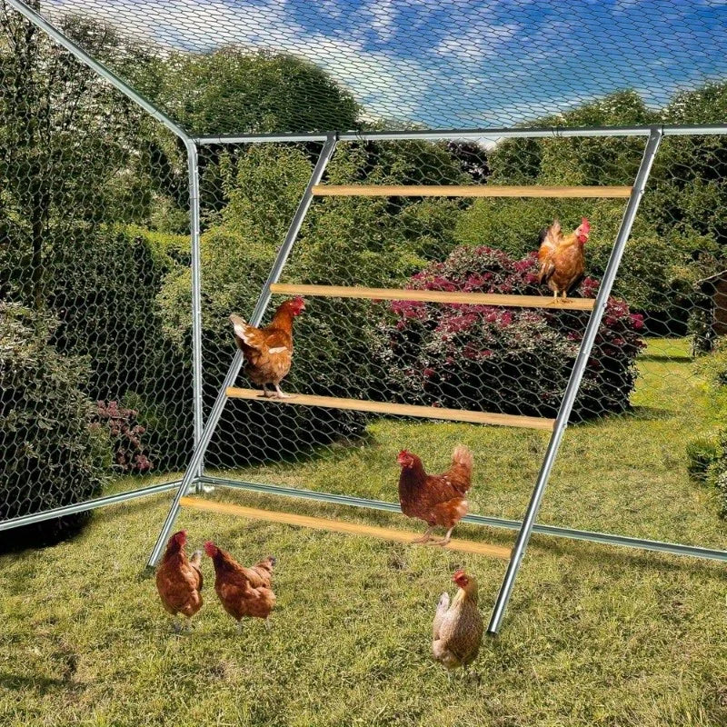 Chicken Coop Roosting Perch Essentials for Backyard Poultry Easy Installation for Chickens 55 Inch Length x 40 Inch Width
