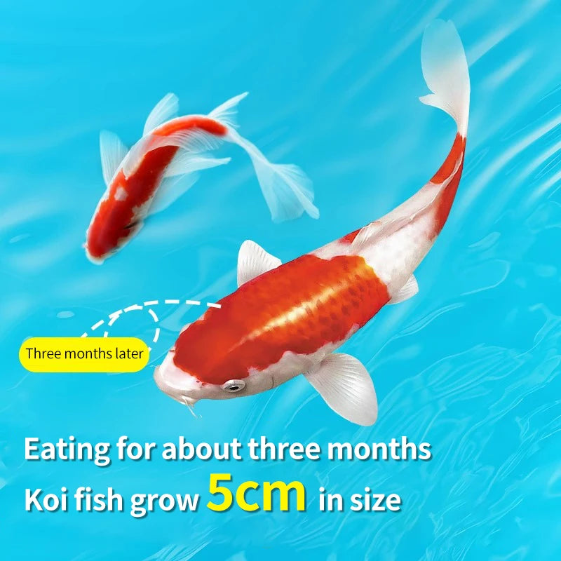 Crazy Water Grass Koi Fish Feed 1.5MM 1.25KG Pellets