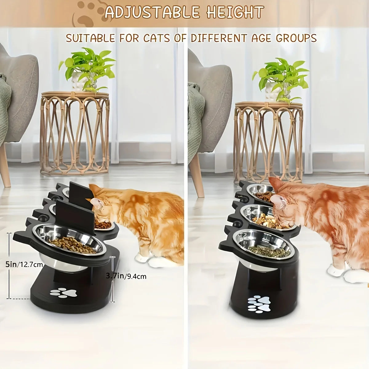 Cat 3 Bowls In 1 Raised Feeder With 15 Degree Tilt Stand