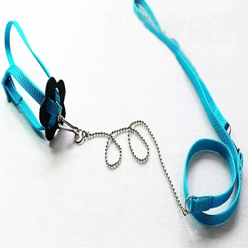 Reptile Leash Lizard Traction Rope Climbing Pet Leash Walking Control Rope For Reptile Amphibians Chain Version Strap Collar