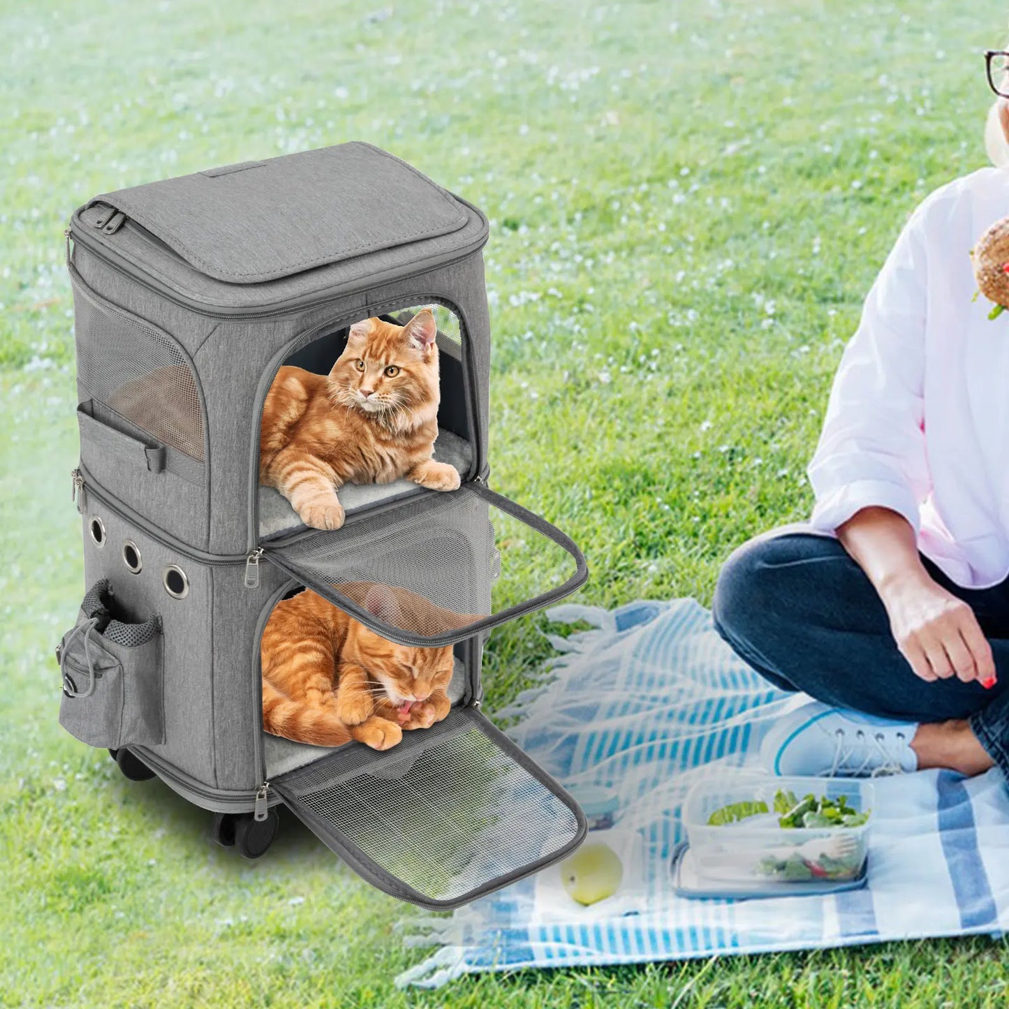 Cat Carrier Double Compartment Rolling Carrier With Wheels