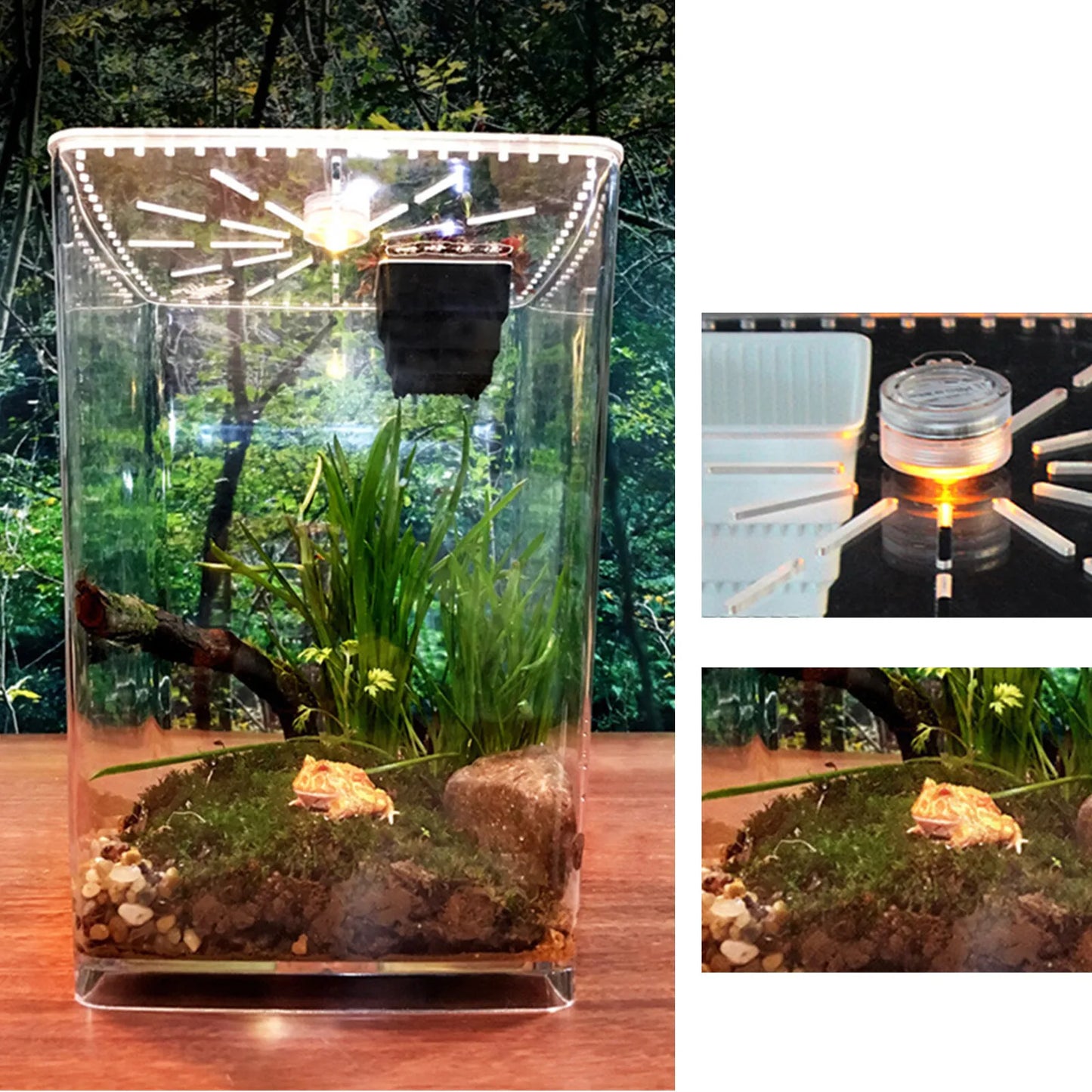 Acrylic Reptile Terrarium Cage For Gecko Lizard Habitat