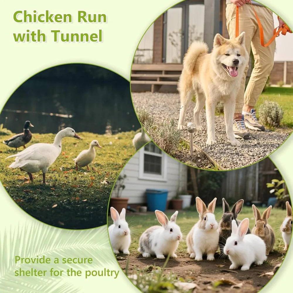 Metal Chicken Coop For 10 Chickens With Run And Wire Mesh