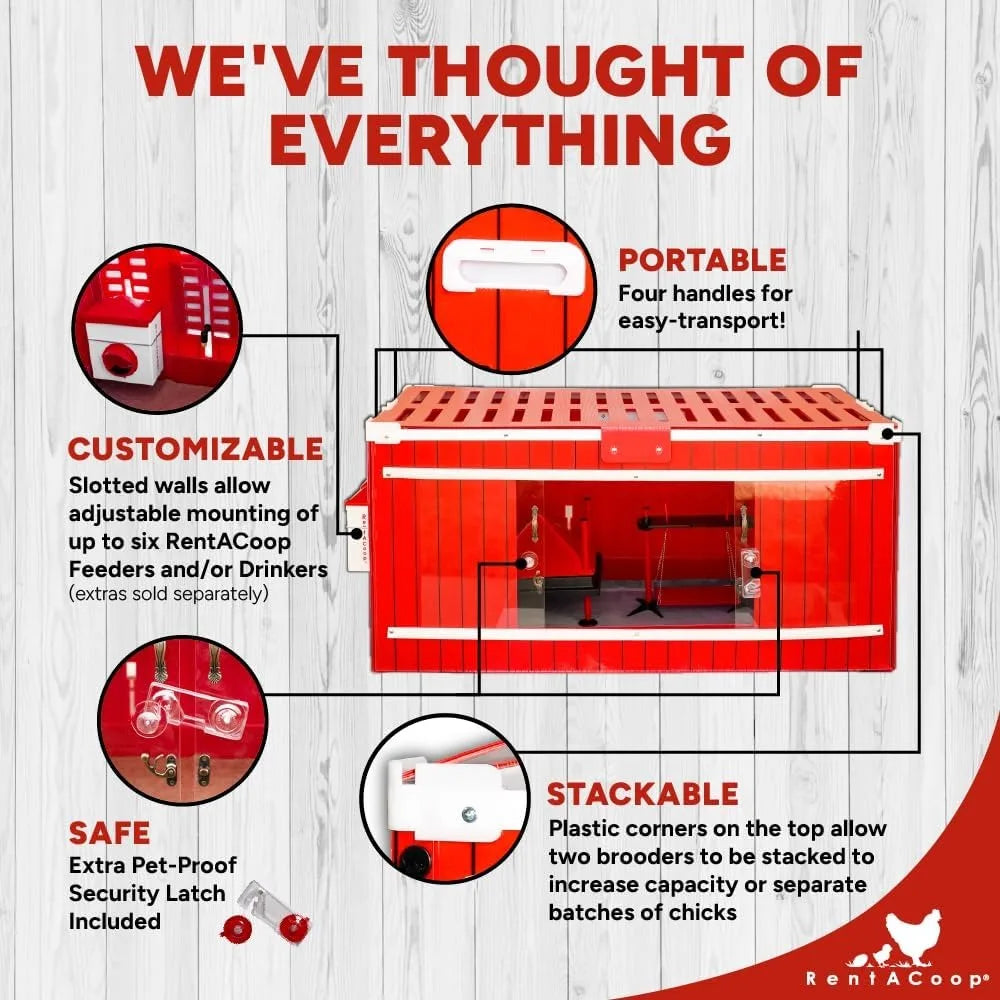 Big Red Barn Chick Brooder Set with Heating Plate Anti-Roost Cone Two Chick Feeders Two Chick Drinkers Swing Hatchling