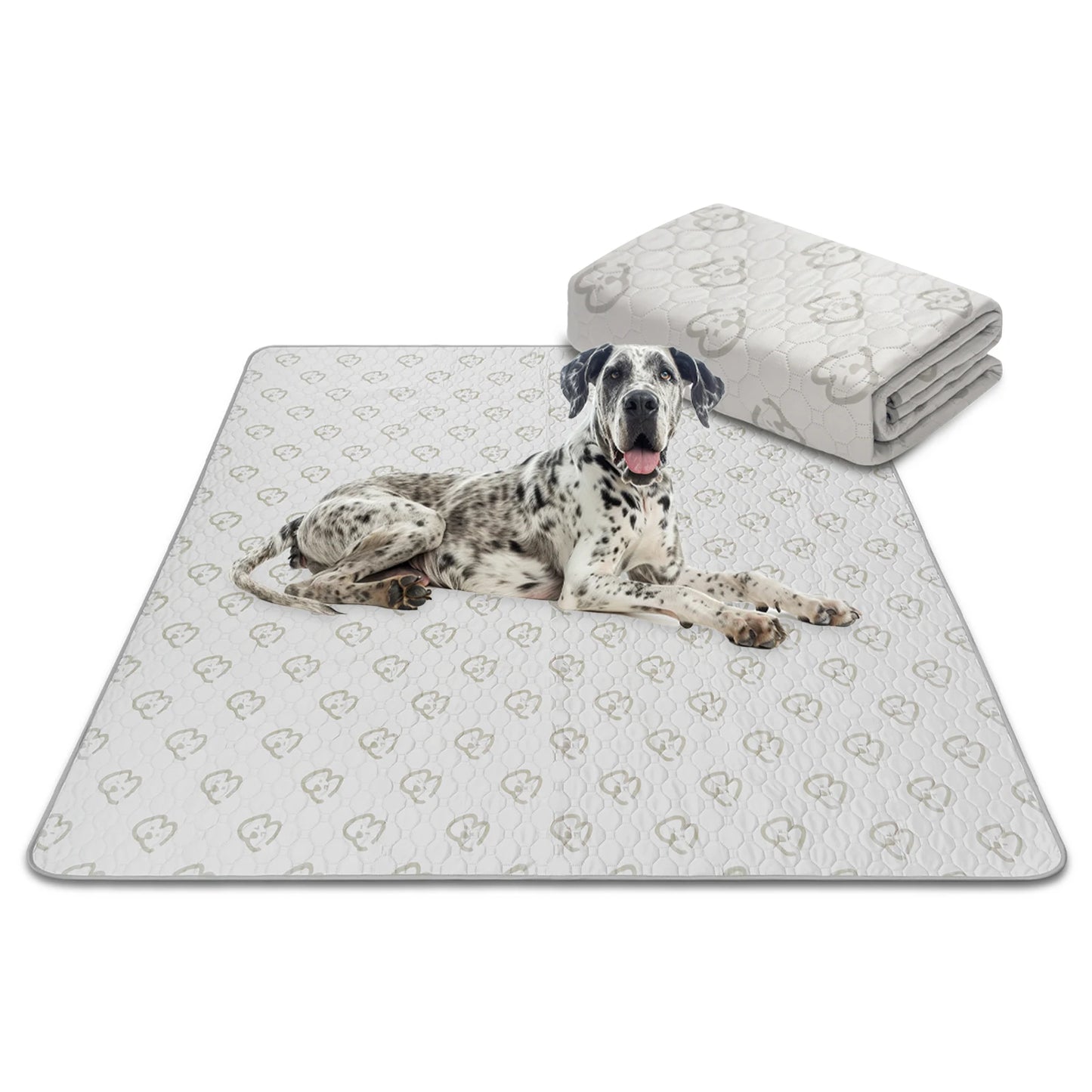 FXW Washable Dog Pee Pads Super Absorbent Puppy Training Pads for Crate Sofa and Bed