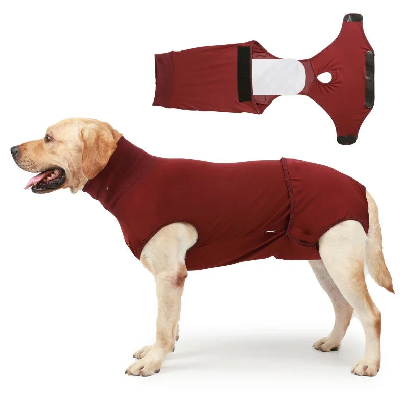 Postoperative Recovery Suit For Dogs And Cats Shirt