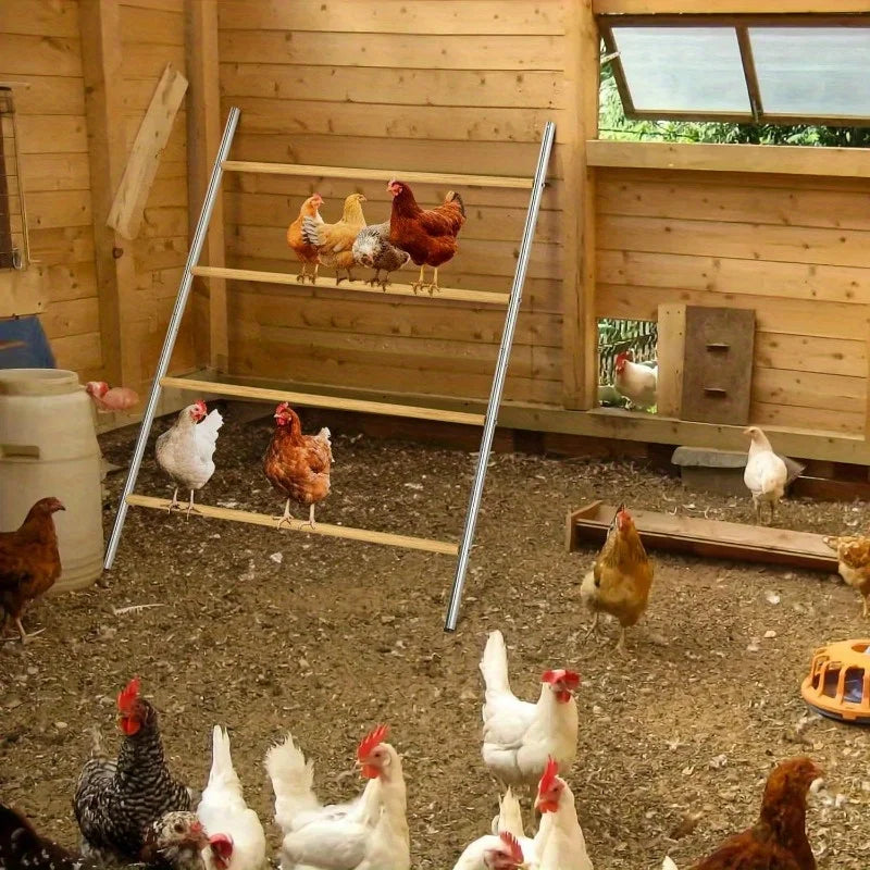 Chicken Coop Roosting Perch Essentials for Backyard Poultry Easy Installation for Chickens 55 Inch Length x 40 Inch Width