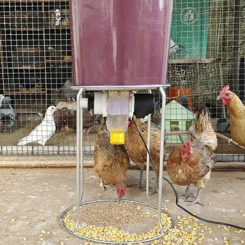 Automatic Chicken Feeder With Timer For Pigeons And Ducks