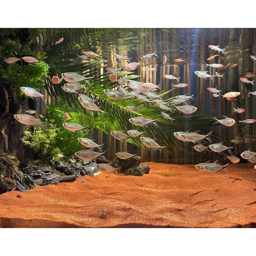 11 Pound Natural Red Sand Aquarium Substrate Coarse Lava Rock Soil Fish Tank Plant Gravel Landscaping Succulent Additive