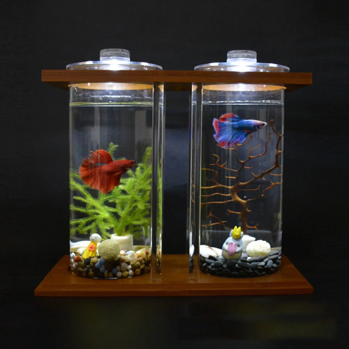 Glass Betta Fish Tank with Bamboo Base Mini Aquarium for Desktop Use