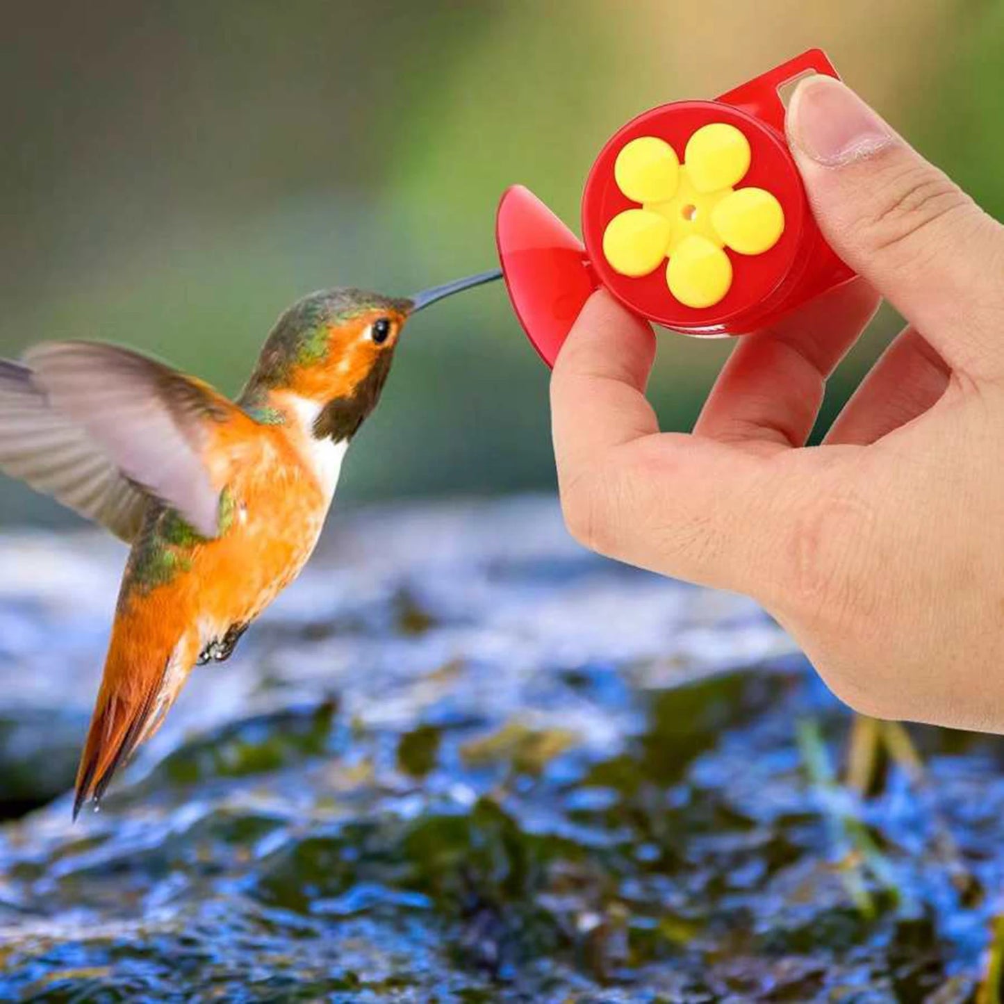 Hummingbird Feeder Hand Held Durable Plastic Accessories