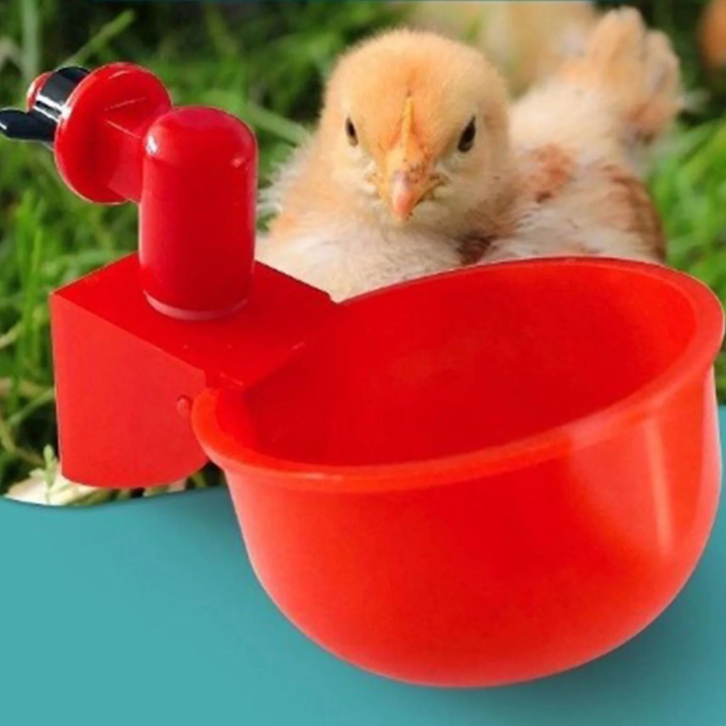 6pcs Poultry Feeder Drinker Hanging Automatic Chicken Water Dispenser Plastic Practical Convenient Tools for Farm Animal Feeding
