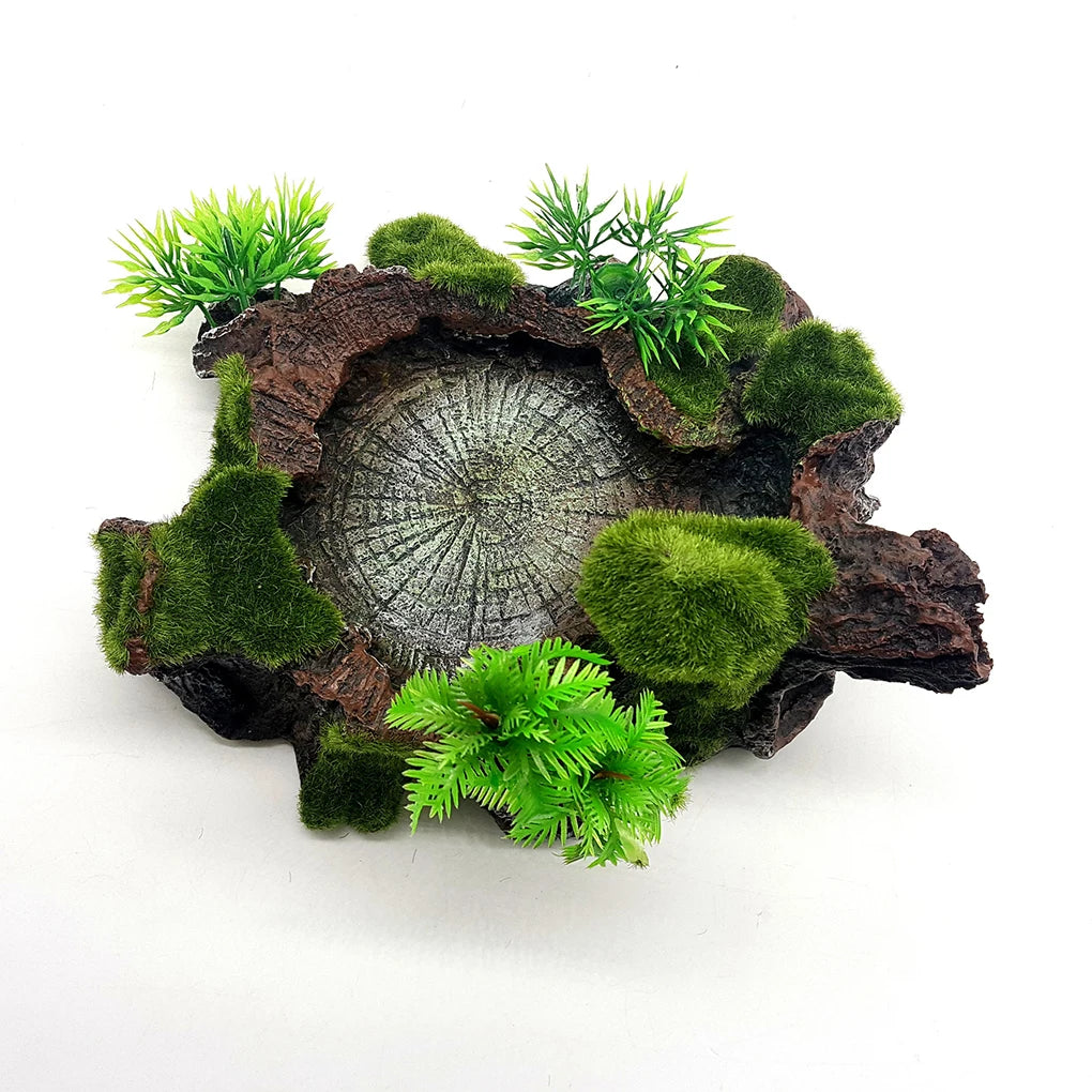 Stable And Sturdy Reptile Feeder Bowl Durable Resin Food And Water Dish For All Reptile Needs