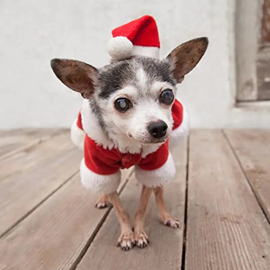Pet Santa Claus Costume For Small Dogs Puppy Kitty Christmas Coat Hoodie