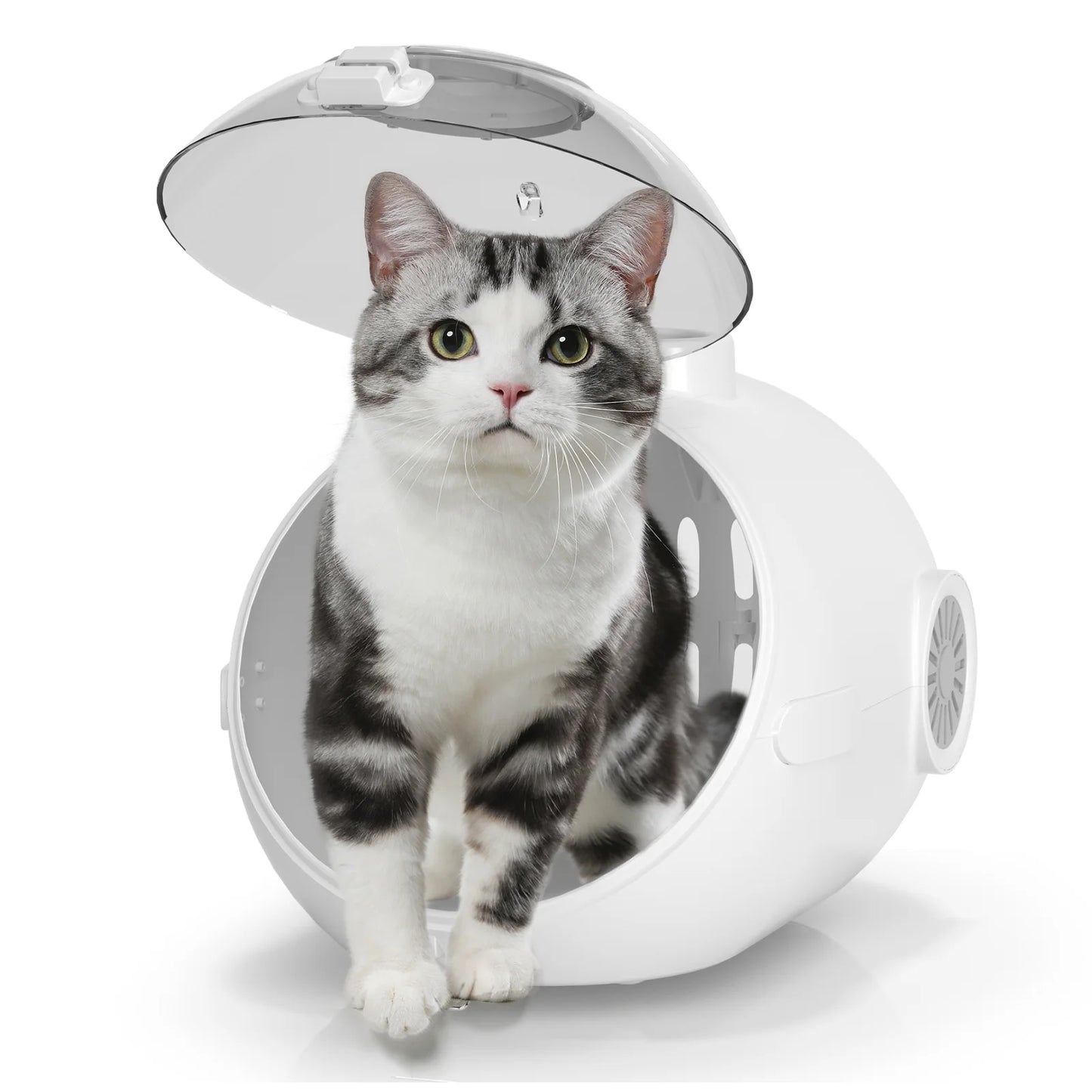 Cat Handbag Carrier With Fan Breathable Granary Design