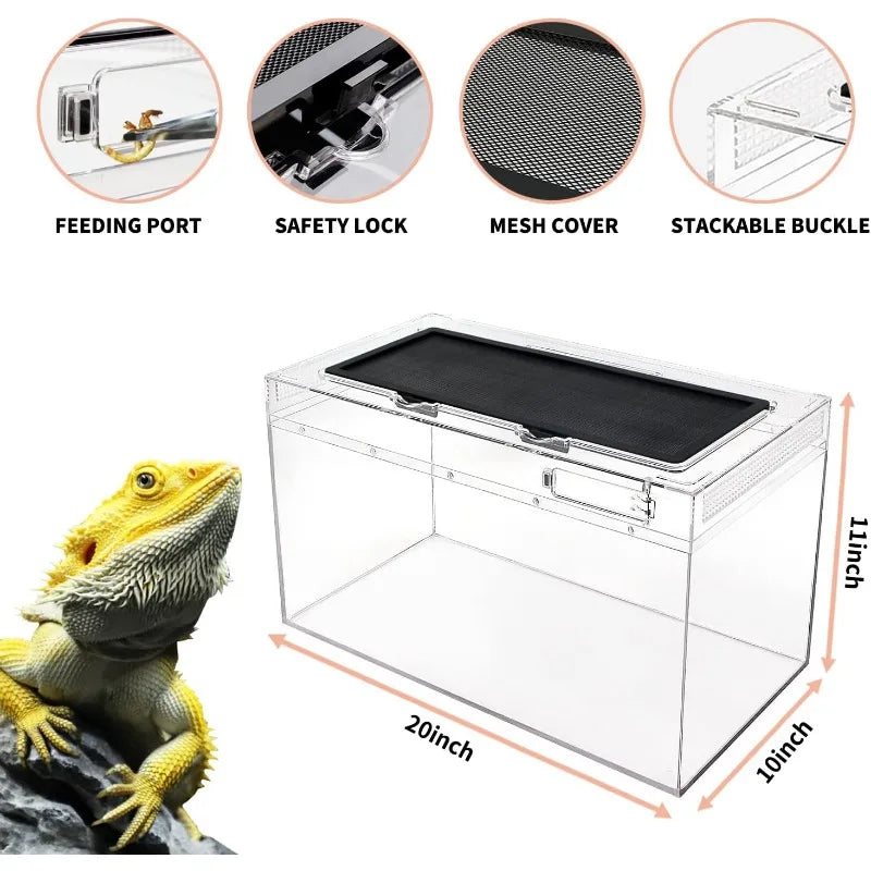 10 Gallon Reptile Tank 20 Inch x 10 Inch x 11 Inch for Insects Fish Tarantulas Hermit Crabs Jumping Spiders Iguanas Tortoises and Leopard Geckos
