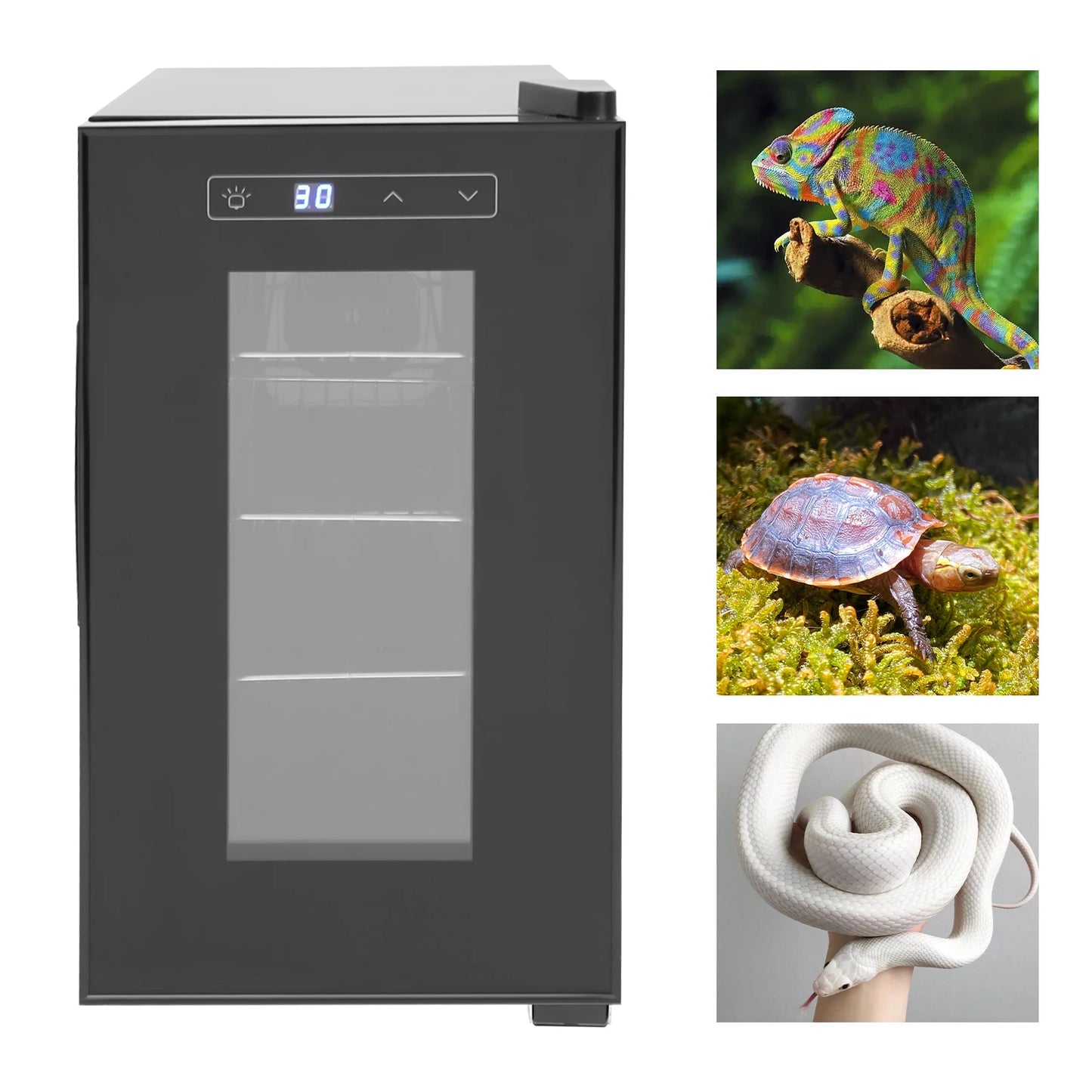Professional Reptile Egg Incubator with Precise 50 to 104 Degrees Fahrenheit Digital Thermostat Auto Heating and Cooling for Snakes Lizards and Turtles