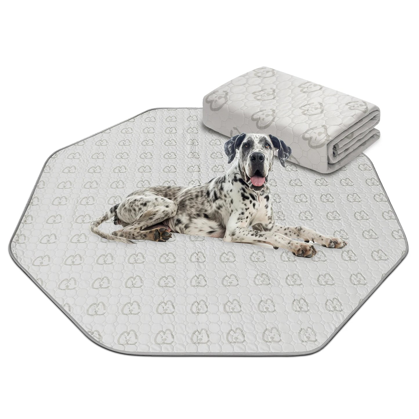 FXW Washable Dog Pee Pads Super Absorbent Puppy Training Pads for Crate Sofa and Bed