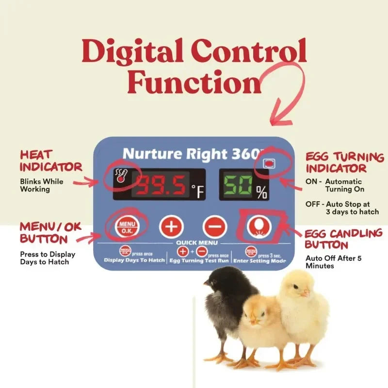 Good Holds 12-22 Eggs Automatic Turner Temperature and Humidity Egg Incubator for Hatching Chicks