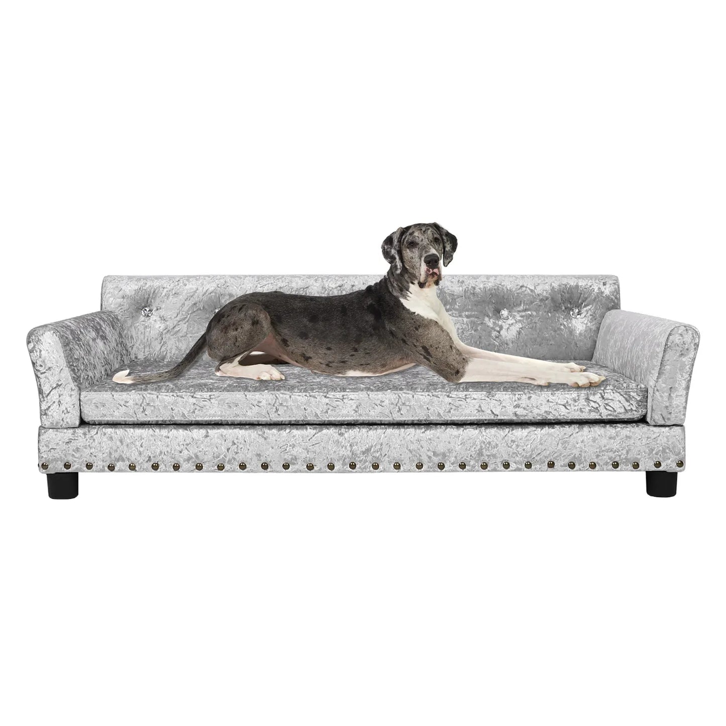 BingoPaw Large Dog Sofa Bed Deluxe Tufted Elevated Couch