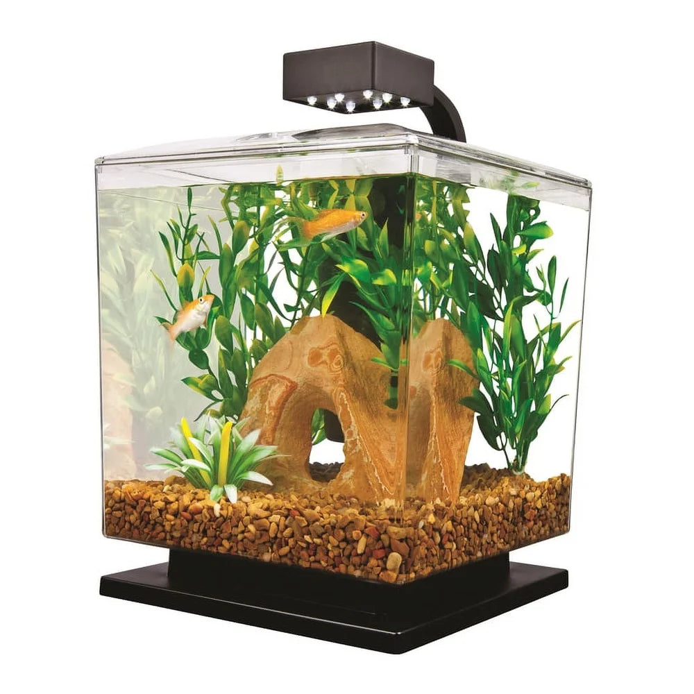 Led 1.5 Gallon Cube Aquarium Kit With Clear Lid For Feeding