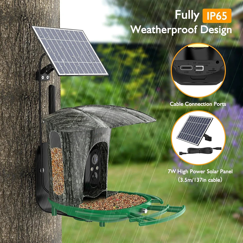 Smart Bird Feeder with Camera Outdoor Bird Watching Camera 1080P HD AI Wildlife Identification