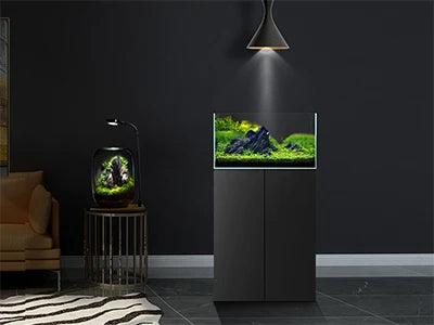 FZONE Aquarium Resin Seiryu Stone Model PH Nature Aquarium Rocks for aquascaping, Micro-Landscapes