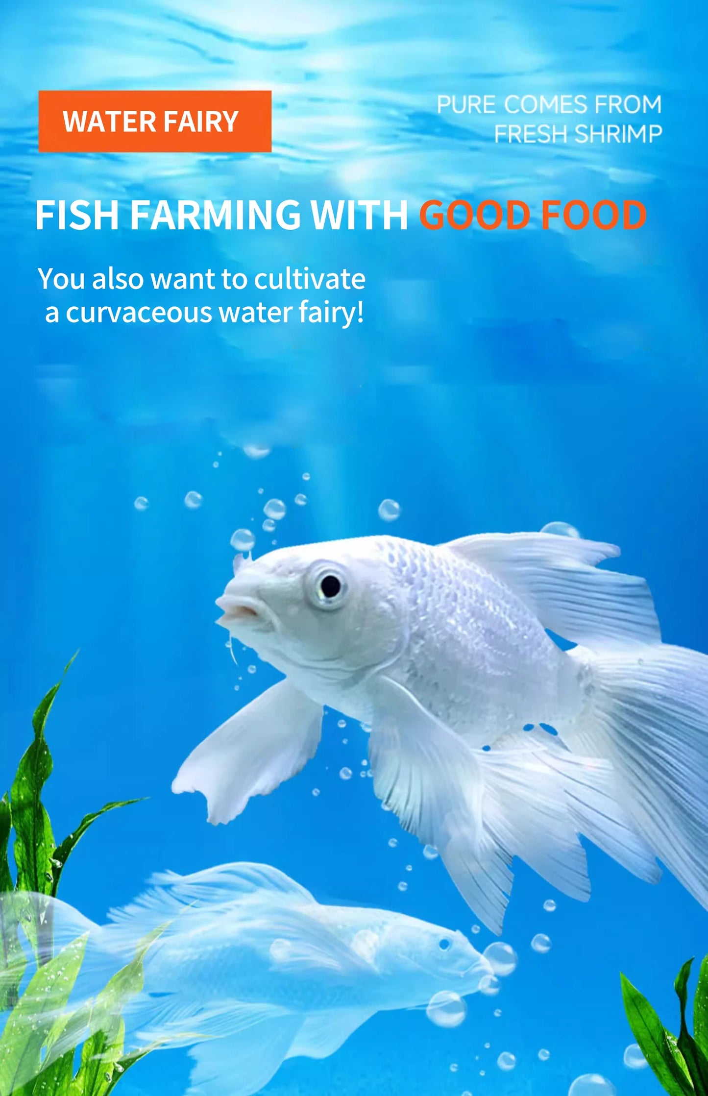 Crazy Water Grass Butterfly Carp Feed Brightening Goldfish Food 500g