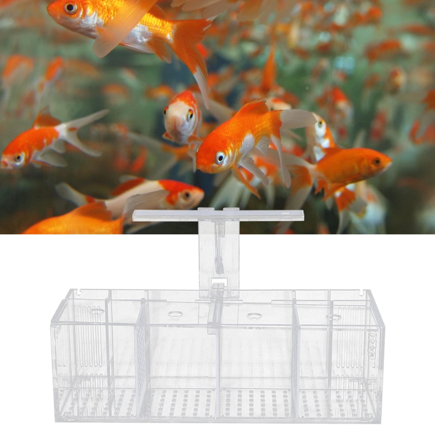 4 Grid Acrylic Fish Tank with LED Light 2.5W Low Power IPX8 Waterproof Tabletop Aquarium for Fighting Fish Shrimp and More