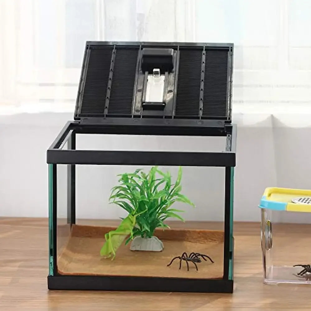 Reptile Amphibian Glass Terrarium Tank Ventilated Habitat Waterproof Lightweight 7.8x7.8x5.9 Inches
