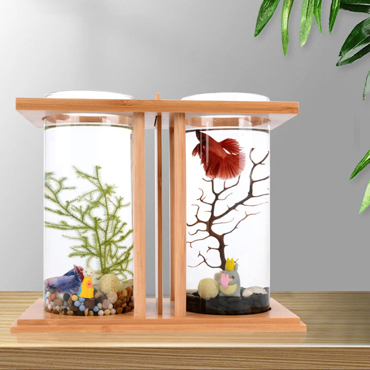 Glass Betta Fish Tank with Bamboo Base Mini Aquarium for Desktop Use