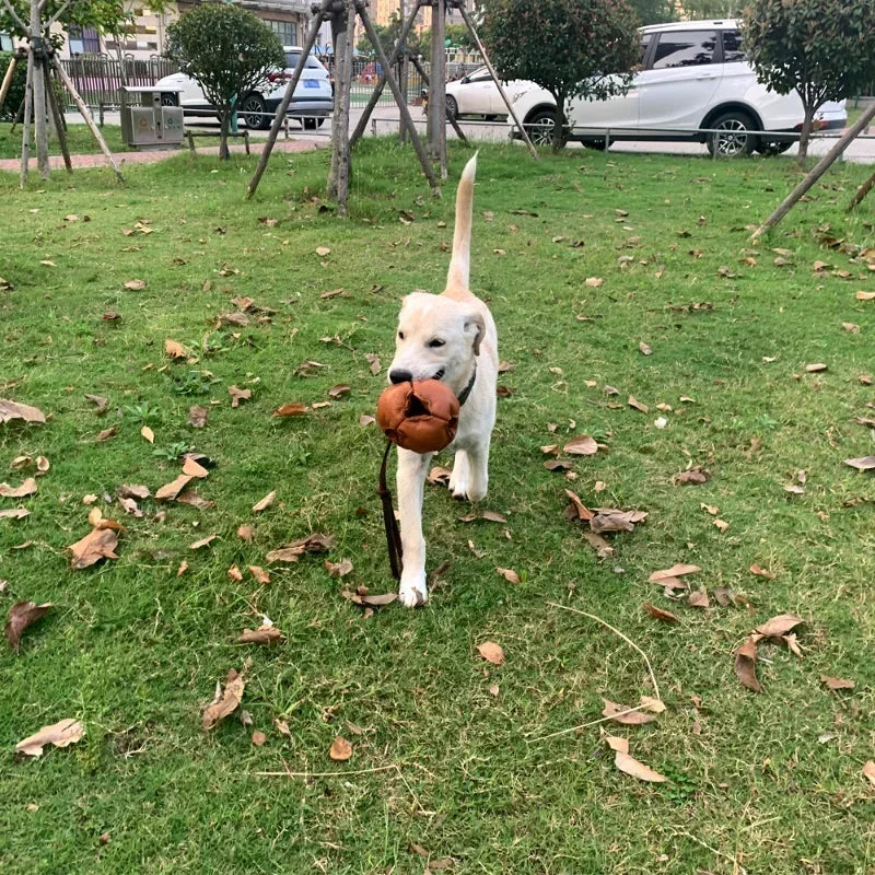 Leather Dog Training Ball Toy with Handle Soft Puppy Reward Fetch Catch Tug Toy