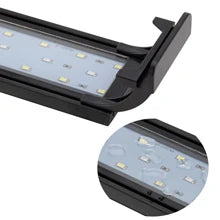 Fish Tank 8 Gallon LED Glass Aquarium Kit for Starters