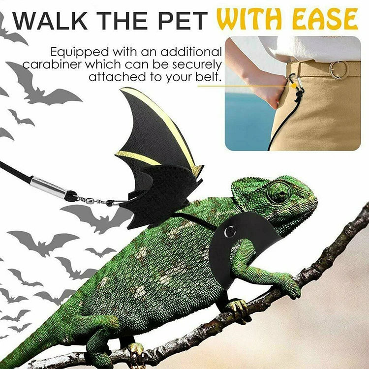 Lizard Leash Reptile Harness for Outdoor Pet Chameleon and Squirrel Supplies