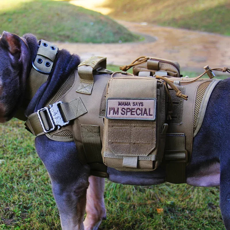 Military Large Dog Harness Pet German Shepherd K9 Malinois Tactical Vest Leash Set