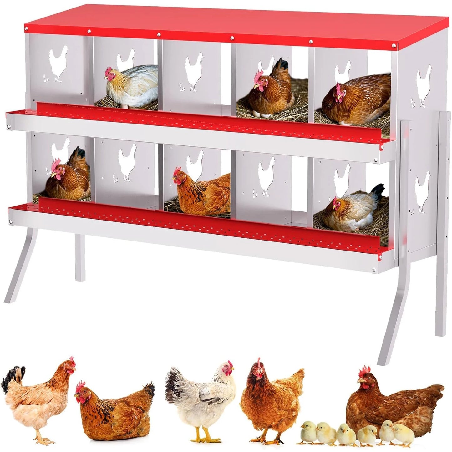 6 8 10 Grids Chicken Nesting Box Roll Away Egg Collection
