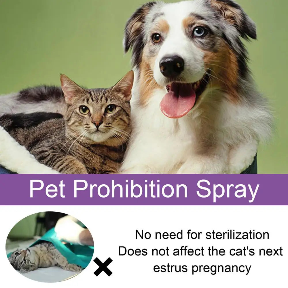 Calming Diffuser Dog Calming Spray For Cats Safe Healthy Anti-anxiety Liquid Sprays For Cars New Environments Remedies Calm Down