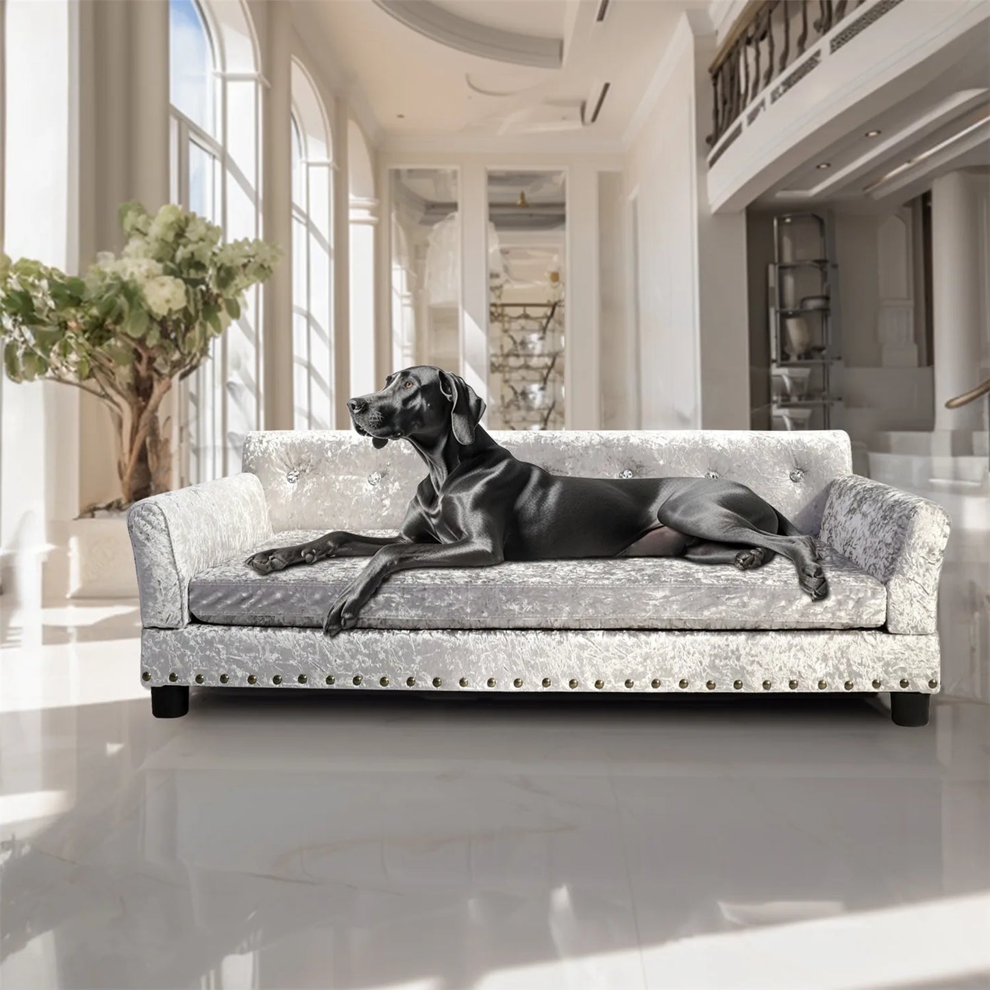 BingoPaw Large Dog Sofa Bed Deluxe Tufted Elevated Couch