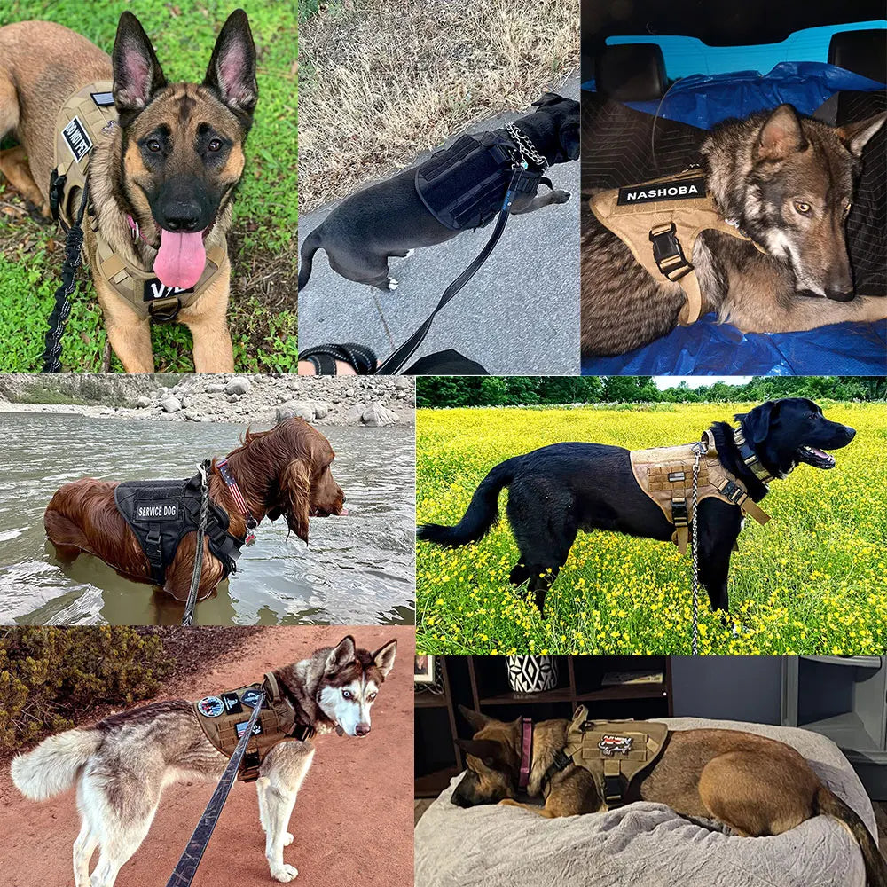 5 Pieces Large Dog Harnesses for German Shepherd and Malinois Training and Walking Vests for Medium and Large Dogs