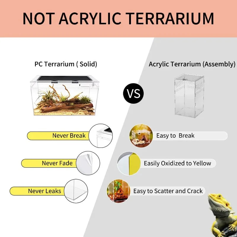 10 Gallon Reptile Tank 20 Inch x 10 Inch x 11 Inch for Insects Fish Tarantulas Hermit Crabs Jumping Spiders Iguanas Tortoises and Leopard Geckos