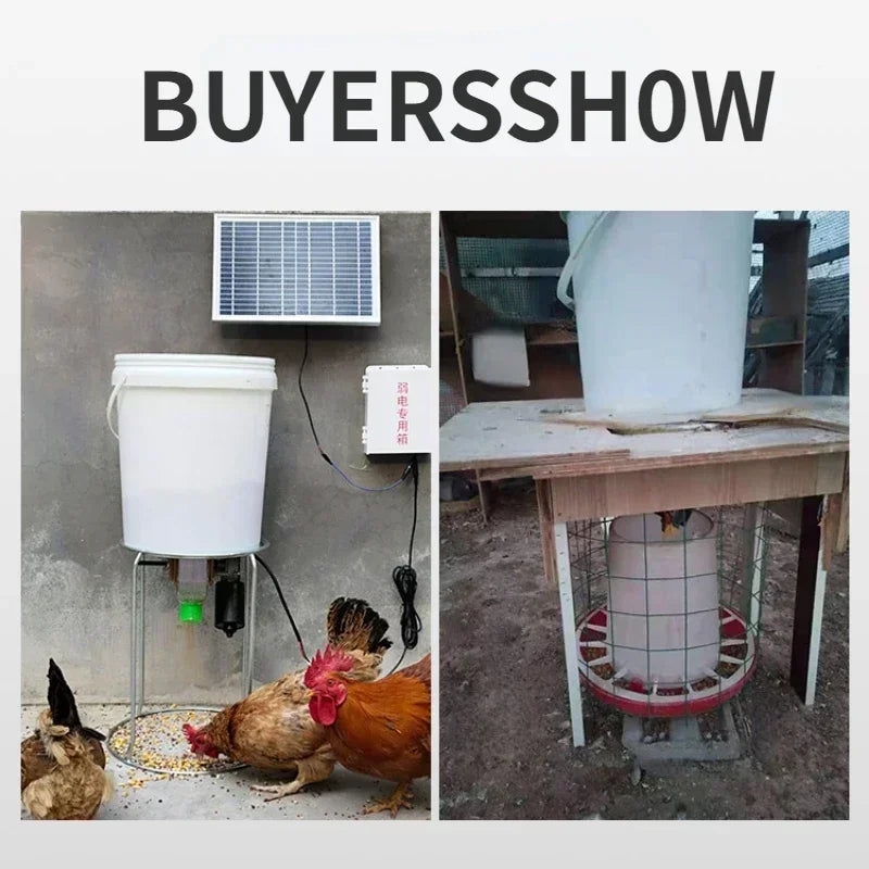Automatic Chicken Feeder With Timer For Pigeons And Ducks