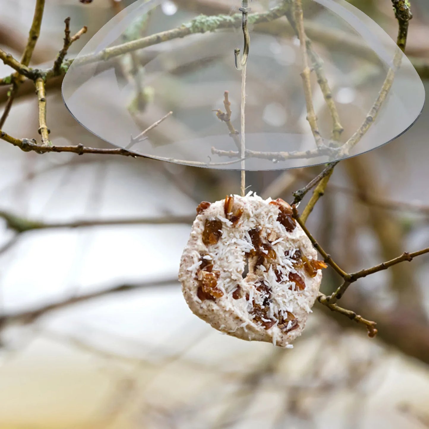 Bird Feeder Clear Protective Cover Dome Anti-squirrel Rain-proof Hanging Hummingbird Rain Cover Guard Baffle With Hooks Home