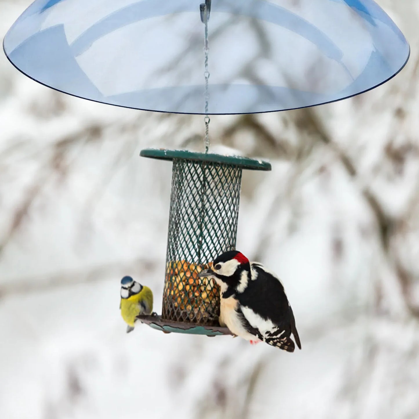 Bird Feeder Clear Protective Cover Dome Anti-squirrel Rain-proof Hanging Hummingbird Rain Cover Guard Baffle With Hooks Home