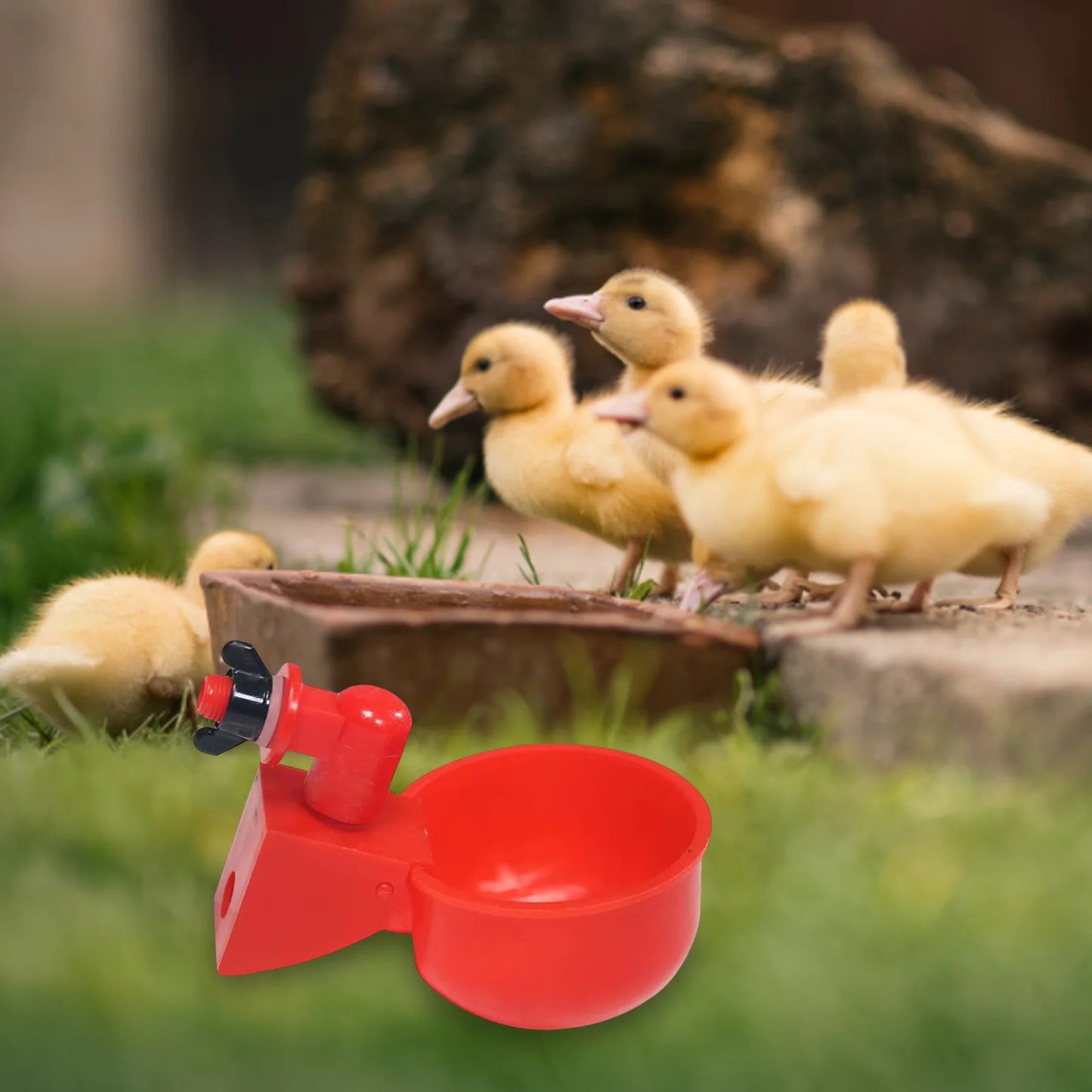 6pcs Poultry Feeder Drinker Hanging Automatic Chicken Water Dispenser Plastic Practical Convenient Tools for Farm Animal Feeding