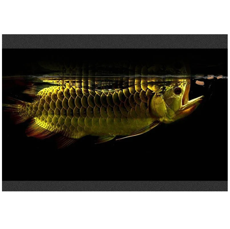 Fish Tank Arowana Feed Red Silver Special Aquarium Food Granule